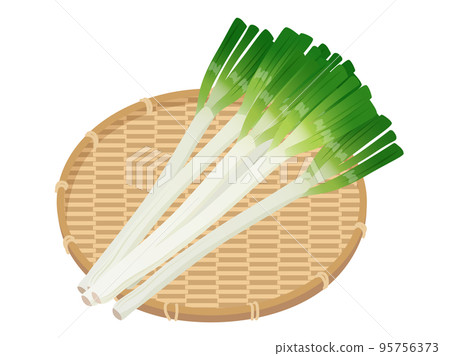 濾鍋上的蔥 濾鍋上的蔥 95756373