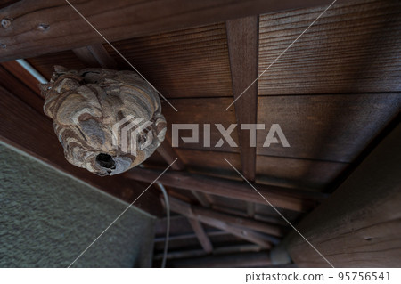 A hornet's nest made in a house 95756541