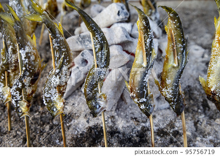 Salt-grilled salmon 95756719