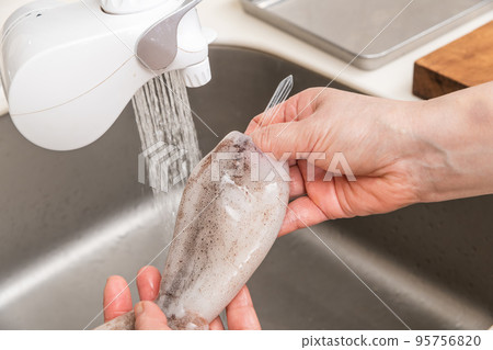 [中年家庭主婦準備魷魚，從它身上取出骨頭] 95756820