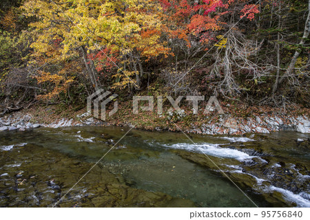 三開瀧公園的紅葉 三開瀧公園的紅葉 95756840