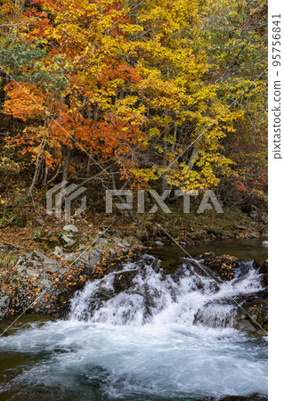 三開瀧公園的紅葉 95756841