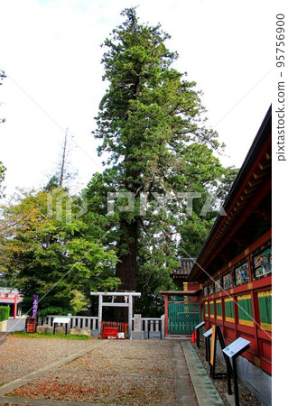 Japan's only dream come true Daimyojin / Osugi Shrine 95756900