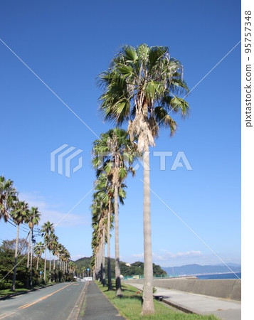 drive along the coastline 95757348