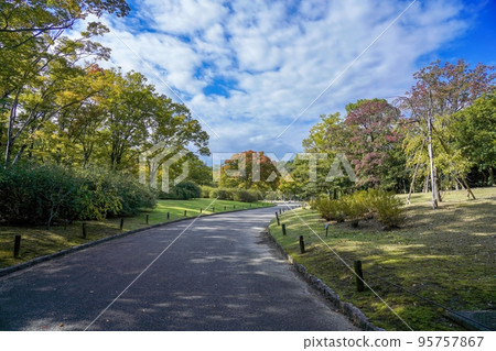 Scenery of maple leaves starting to change colors against a blue sky background @ Osaka Scenery of maple leaves starting to change colors against a blue sky background @ Osaka 95757867