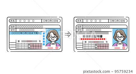 高級女性駕駛執照和駕駛歷史證明插圖集 95759234
