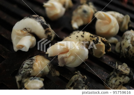 Barbecue with a large amount of clams 95759616