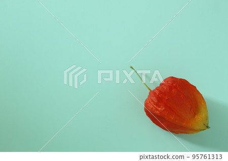 Background light blue and orange Hozuki (hozuki) placed in the lower right (horizontal composition) 95761313