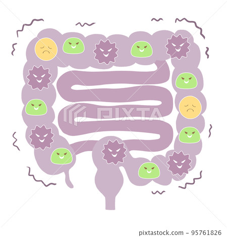 Unhealthy intestinal environment Illustration of large intestine and small intestine 95761826