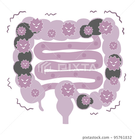 Even the small intestine is full of bad bacteria Illustration of the large and small intestine 95761832