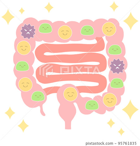 Ideal intestinal environment (good bacteria: opportunistic bacteria: bad bacteria = 2:7:1) Illustration of large intestine and small intestine 95761835