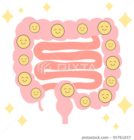 滿滿的好菌大腸小腸圖解 95761837