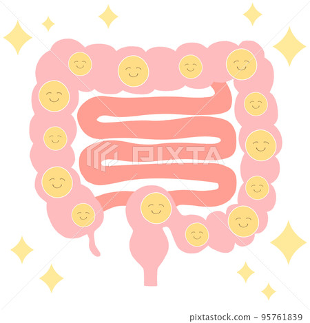 滿滿的好菌大腸小腸圖解 95761839