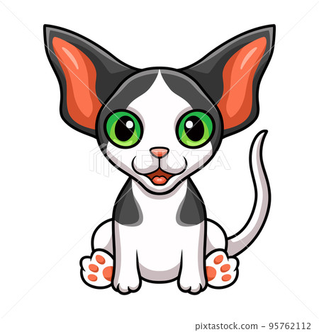 Cute oriental cat cartoon sitting Cute oriental cat cartoon sitting 95762112