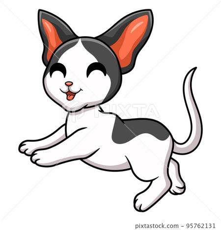 Cute oriental cat cartoon posing Cute oriental cat cartoon posing 95762131