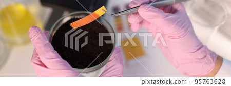 PH test strip and soil study in laboratory closeup PH test strip and soil study in laboratory closeup 95763628