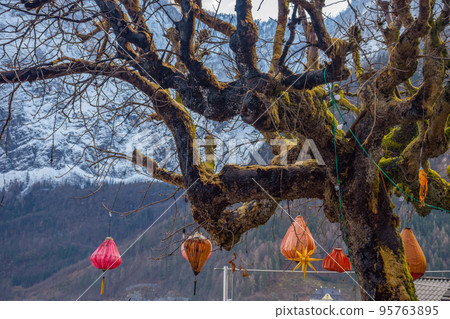 Old tree affected by a fire caused by an electrical short circuit to the winter decorations, in Hallstatt, a charming village in Salzkammergut region, Austria. 95763895