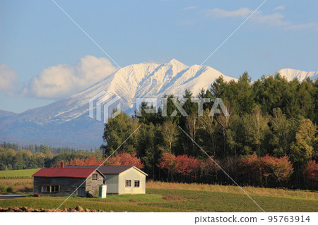 秋葉與雪山 95763914