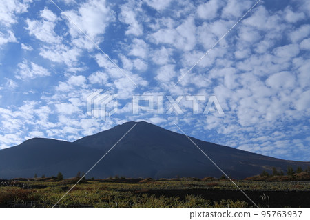 Mount Fuji from Tarobo 95763937