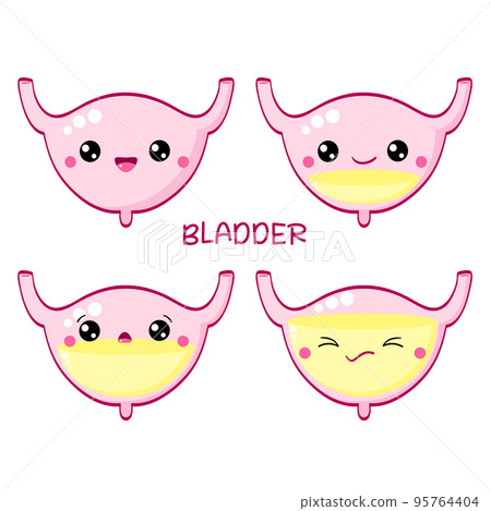 Set of human bladder in kawaii style with smiling face and pink cheeks. Collection of cute human internal organs characters. Full and empty bladder Set of human bladder in kawaii style with smiling face and pink cheeks. Collection of cute human internal organs characters. Full and empty bladder 95764404