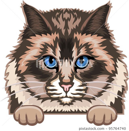 Holy Burma Cat Color Vector, Peeking Cats, Cats Breed, Pet Vector portrait, Cats Head 95764740