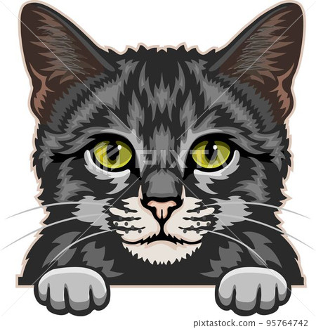 Domestic Cat Color Vector, Peeking Cats, Cats Breed, Pet Vector portrait, Cats Head 95764742