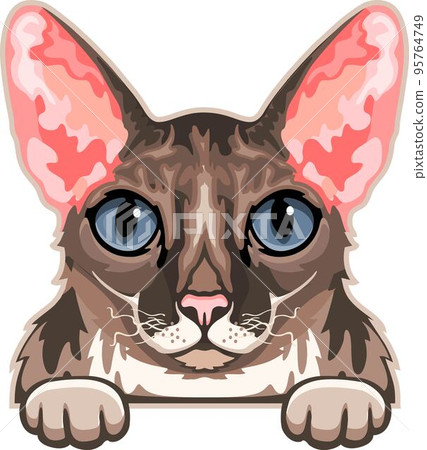 Cornish Rex Cat Color Vector, Peeking Cats, Cats Breed, Pet Vector portrait, Cats Head Cornish Rex Cat Color Vector, Peeking Cats, Cats Breed, Pet Vector portrait, Cats Head 95764749
