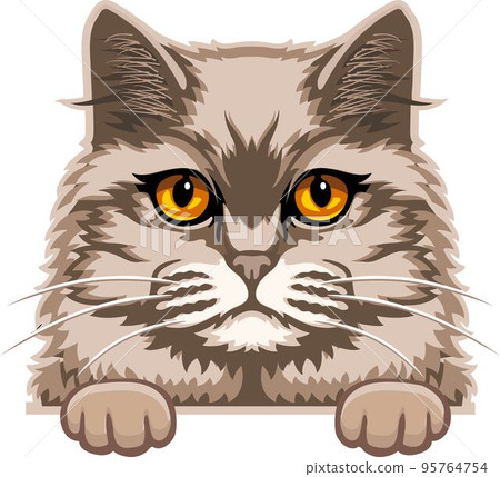 British Longhair Cat Color Vector, Peeking Cats, Cats Breed, Pet Vector portrait, Cats Head British Longhair Cat Color Vector, Peeking Cats, Cats Breed, Pet Vector portrait, Cats Head 95764754