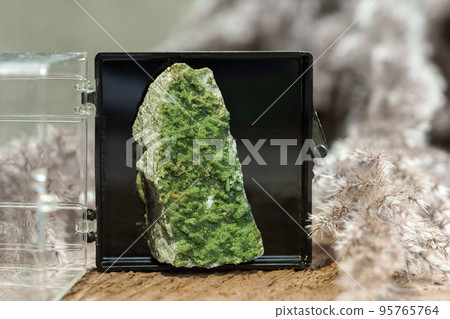 Chlorite with Quartz Crystalline Formation in Box Chlorite with Quartz Crystalline Formation in Box 95765764