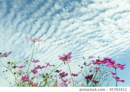 卷雲和宇宙感受季節的變化 95765912