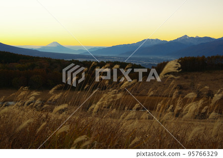 在長野縣諏訪市霧峰濕地看到的富士山、蒲葦和濕地的晨景 在長野縣諏訪市霧峰濕地看到的富士山、蒲葦和濕地的晨景 95766329