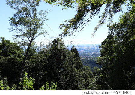 高尾山步道 高尾山步道 95766405