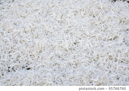 [Sun-dried whitebait] 95766760