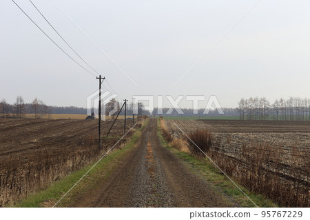 Hokkaido, Tokachi region, scenery with a ranch (autumn) 95767229