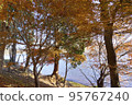 Lake Haruna and autumn leaves 95767240