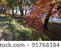 Autumn leaves and the shores of Lake Haruna 95768384