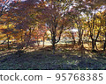 Autumn leaves around Lake Haruna 95768385