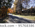 Autumn leaves road around Lake Haruna 95768386