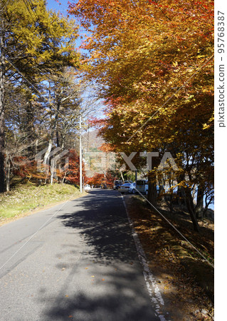 Autumn leaves road around Lake Haruna_Vertical Autumn leaves road around Lake Haruna_Vertical 95768387
