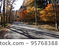 Autumn leaves road around Lake Haruna 95768388