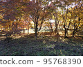 Autumn leaves around Lake Haruna 95768390