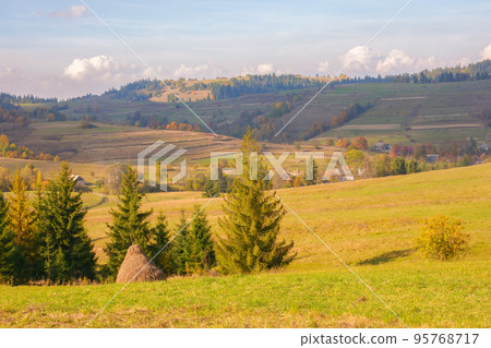 mountainous countryside landscape in autumn. rural fields and pastures among forested hills in dappled light. warm autumn weather. concept of sustainable living in carpathian region mountainous countryside landscape in autumn. rural fields and pastures among forested hills in dappled light. warm autumn weather. concept of sustainable living in carpathian region 95768717