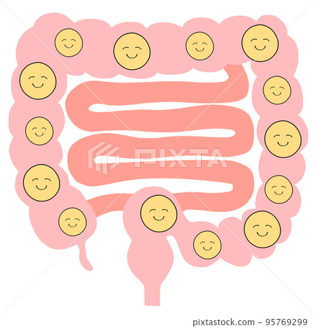 Full of good bacteria Illustration of large intestine and small intestine 95769299