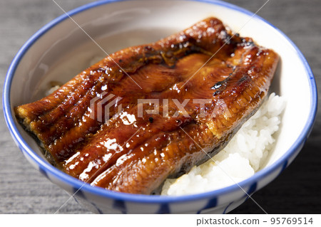 Delicious eel bowl Delicious eel bowl 95769514