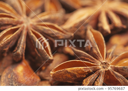 Star anises dried spice fruits Star anises dried spice fruits 95769687