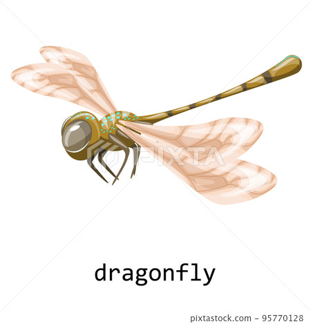 Vector image of a dragonfly in flight with the inscription. Cartoon. EPS 10 Vector image of a dragonfly in flight with the inscription. Cartoon. EPS 10 95770128