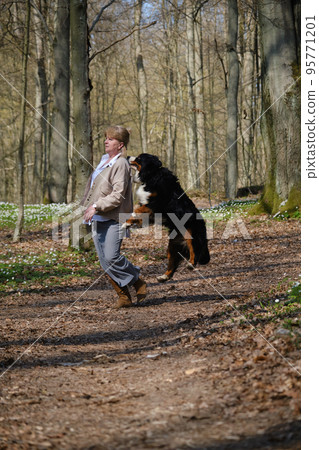 dog bites woman 95771201