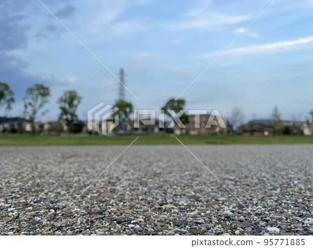 Landscape of the park from near the ground 95771885