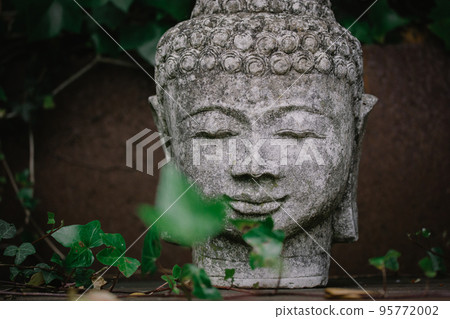 Grey stone statue head face of Buddha as symbol of harmony, Buddhism religion. Place for meditation in asian garden among green leaves. Old antique statue, Bhagwan or Lord Goutam Buddha. Calmness. 95772002