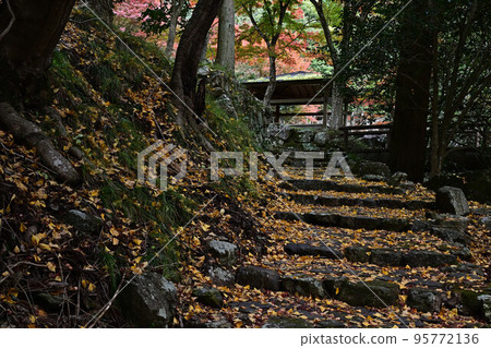 竹野山山谷的秋葉 竹野山山谷的秋葉 95772136